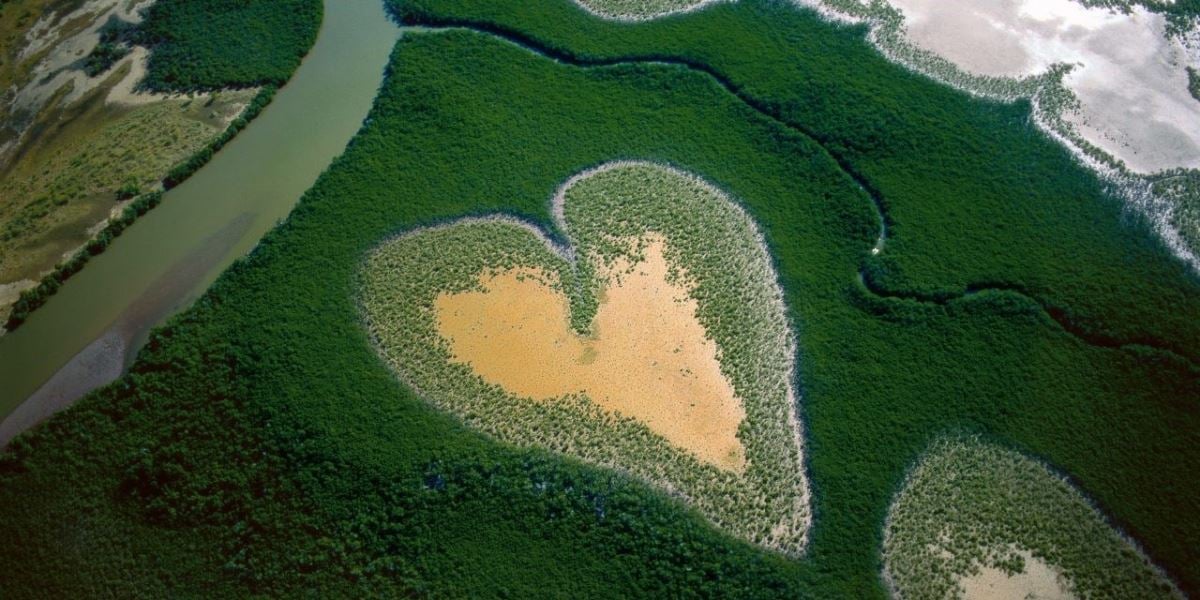 作品/Yann Arthus-Bertrand