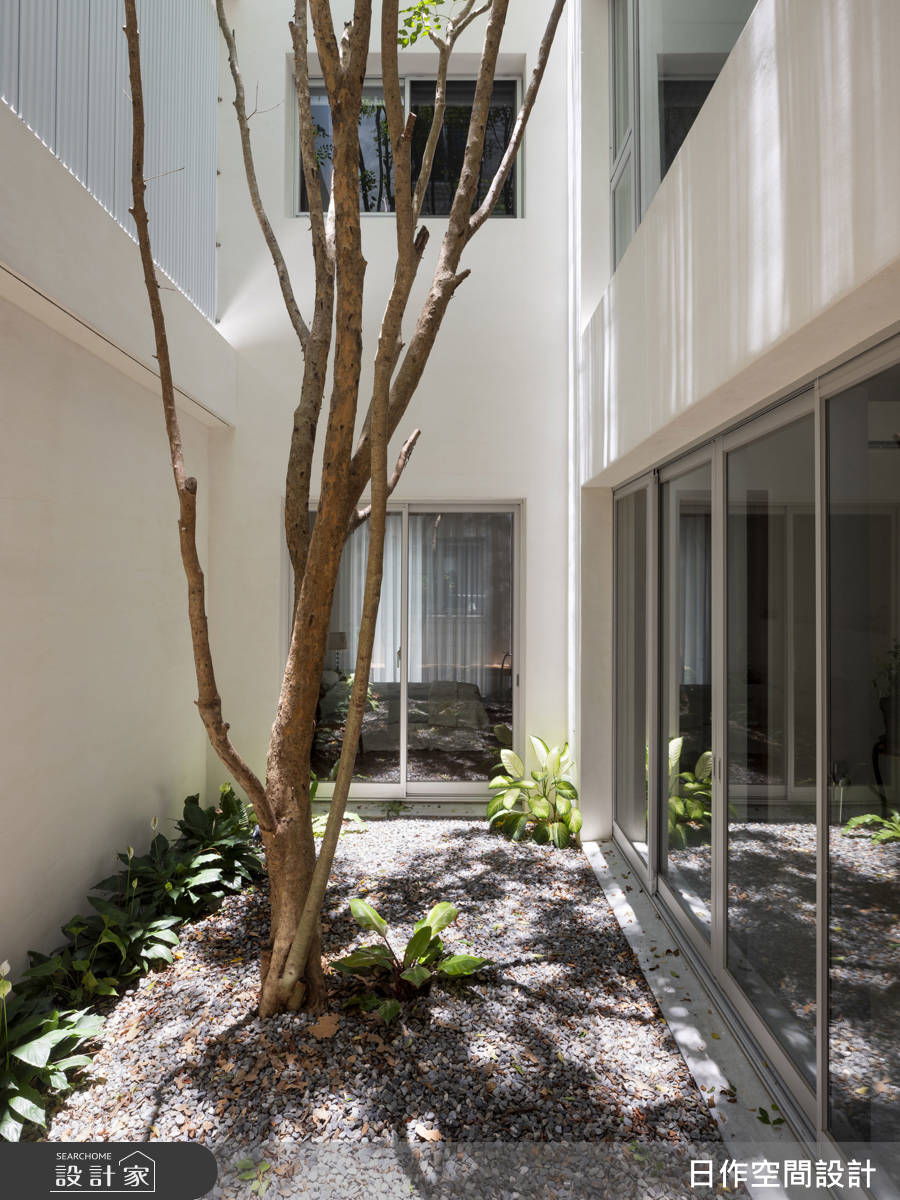 以「家族主樹」為概念，在中庭種下一棵光蠟樹，把日光與綠意自然注入室內，成為全宅的核心風景。